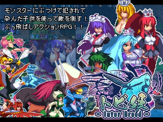 トビ姫 Inter Breed お姫様 成人RPG DLsite