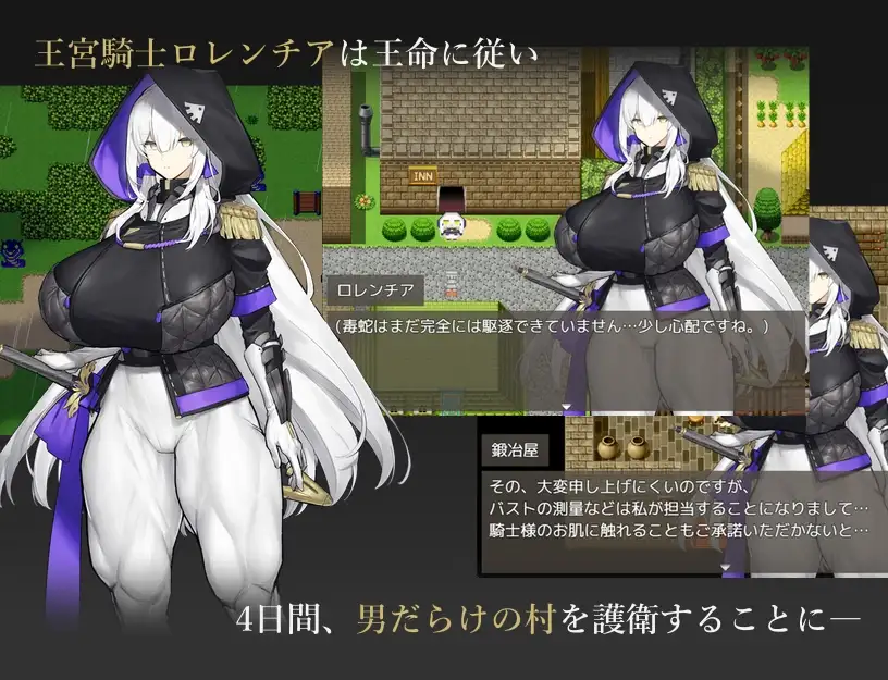 王宮騎士のリスクヘッジ ゲーム画像1