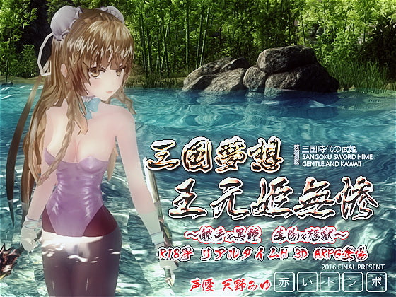 삼국몽상 왕원기 3D 삼국지 성인ARPG DLsite